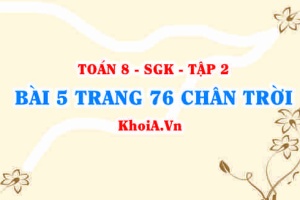 Bài 5 trang 76 Toán 8 Chân trời sáng tạo Tập 2